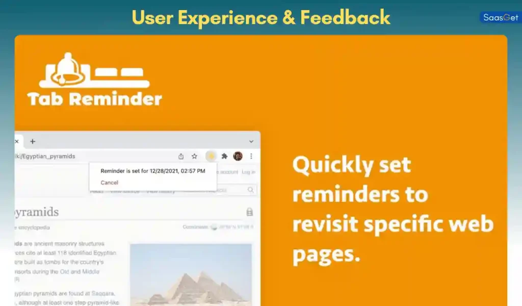 User Experience & Feedback