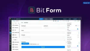 Bit Form Lifetime Deal Review